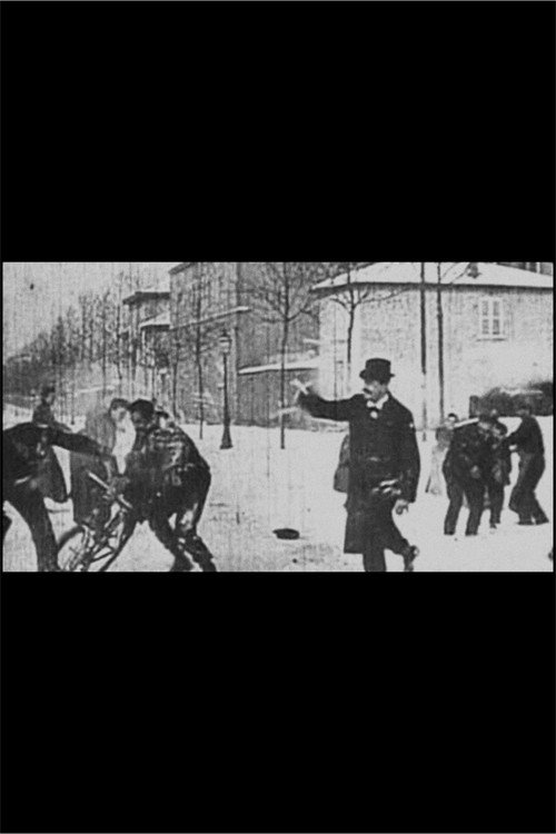 Постер: Игра в снежки
