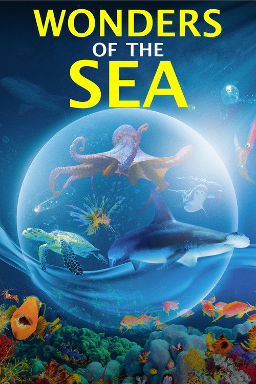 Постер: Чудеса моря 3D