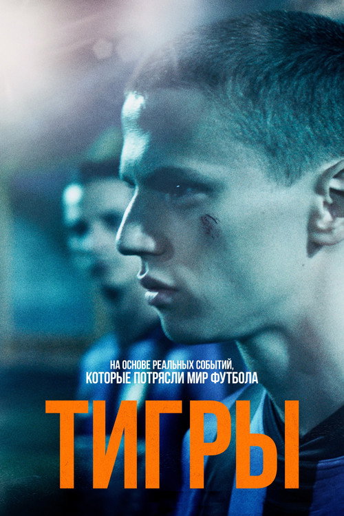 Постер: Тигры