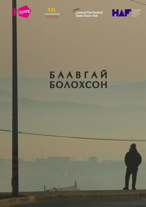Постер: Баавгай болохсон