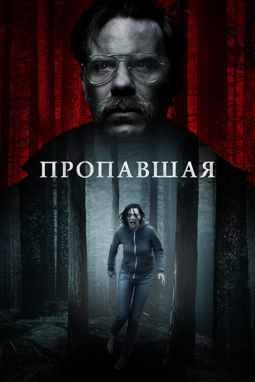 Постер: Пропавшая