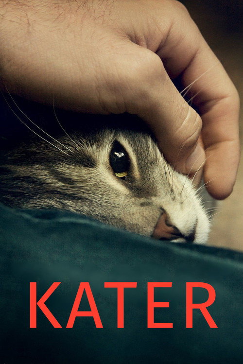 Постер: Кот
