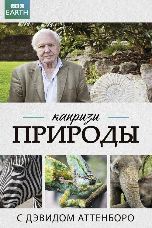 Постер: Капризы природы с Дэвидом Аттенборо