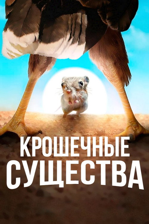 Постер: Крошечные существа
