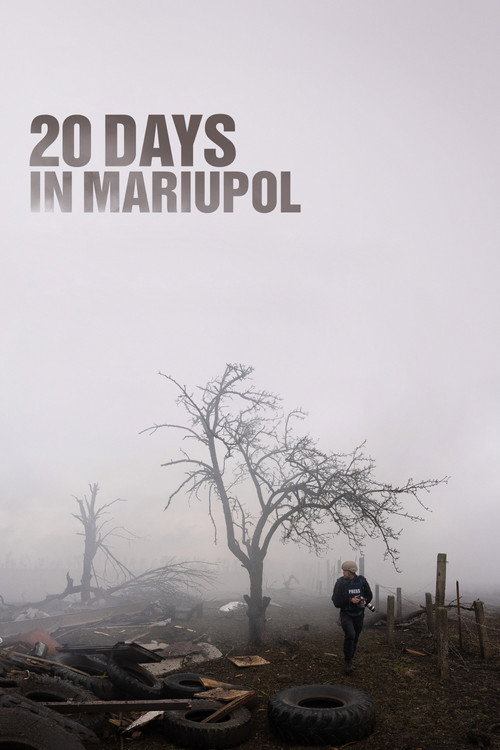 Постер: 20 дней в Мариуполе