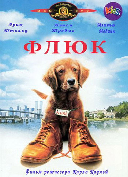 Постер: Флюк