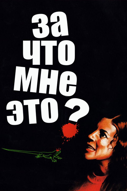 Постер: За что мне это?