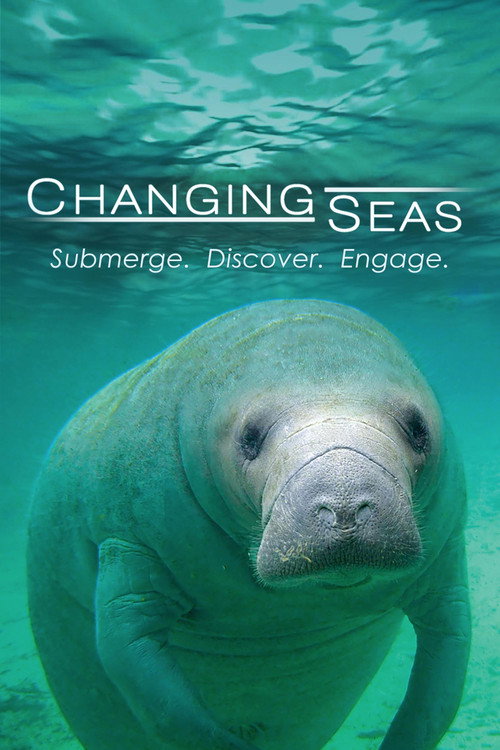 Постер: Changing Seas